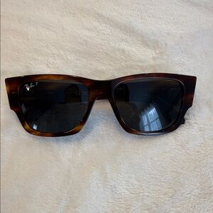 Ray-Ban Brown Sunglasses with Dark Polarized Lenses